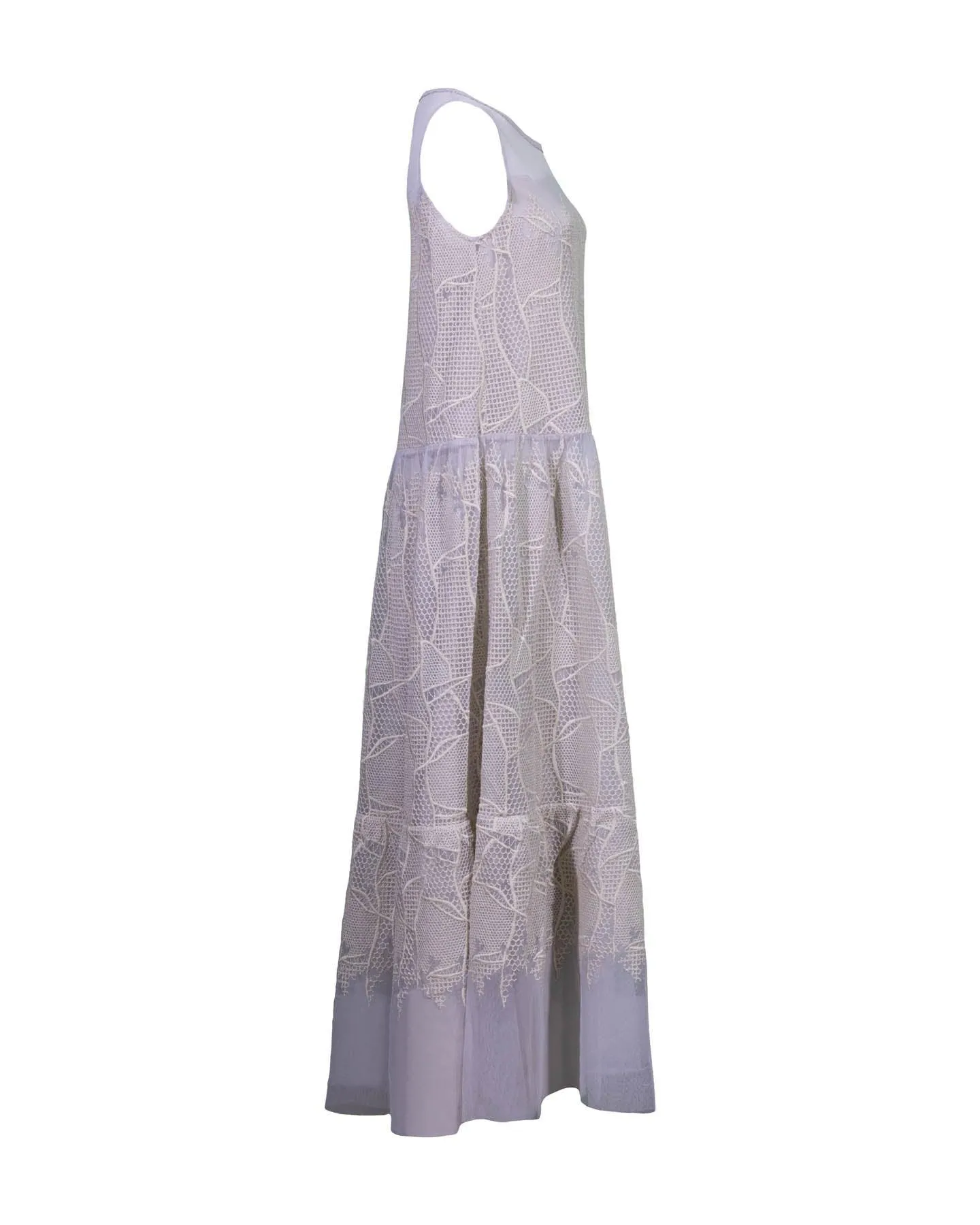 Embroidered Mesh Maxi Dress